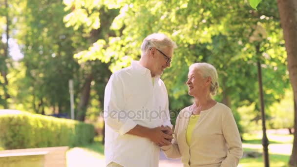 Lyckliga senior paret pratar på sommaren stadsparken — Stockvideo