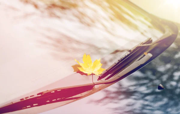 汽车刮水器与秋天的枫叶的特写 — 图库照片