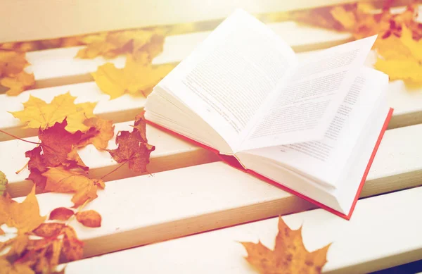 Aufgeschlagenes Buch auf Bank im Herbstpark — Stockfoto