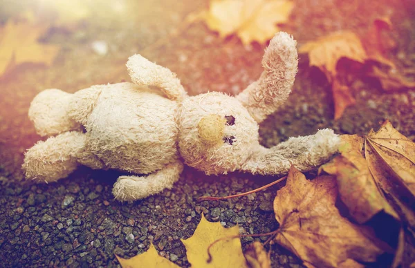 Játék nyúl és őszi levelei út vagy a talaj Jogdíjmentes Stock Fotók