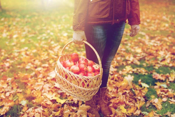 女人用篮子苹果在秋天的花园 — 图库照片