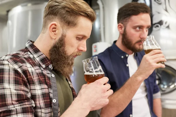 男性ノンアルコール地ビール醸造所でのテスト — ストック写真