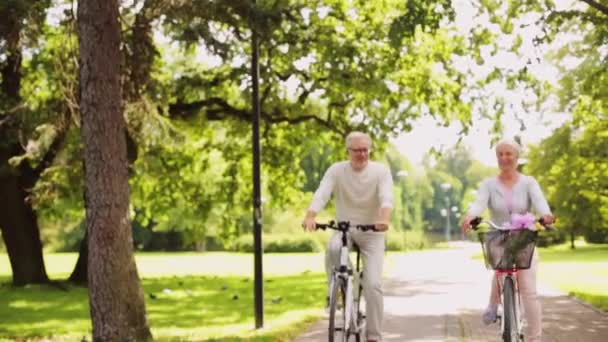 Feliz pareja mayor montando bicicletas en el parque de verano — Vídeos de Stock