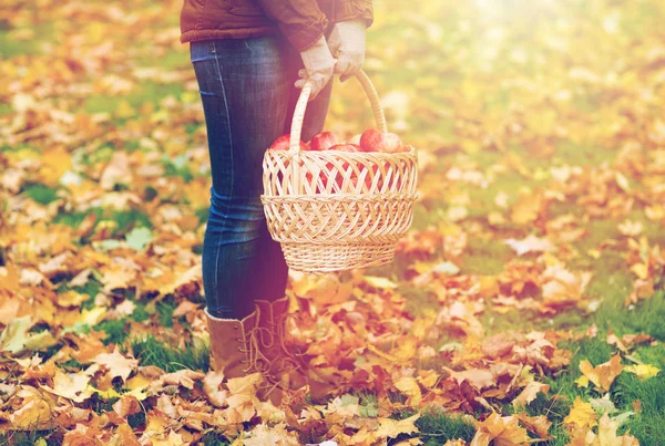 Vrouw met mand met appels in najaar garden — Stockfoto