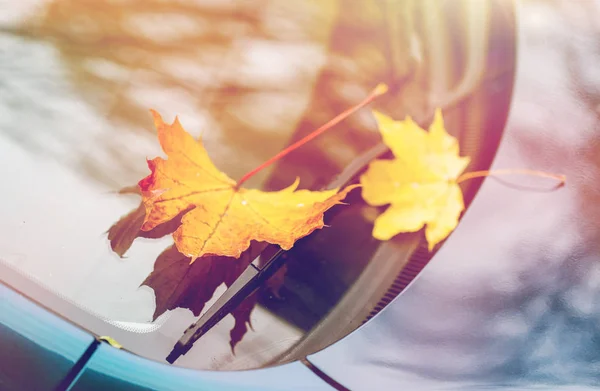 汽车刮水器与秋天的落叶的特写 — 图库照片