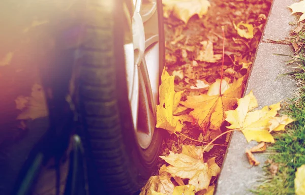 Detailní záběr kola automobilu a podzimní listí — Stock fotografie