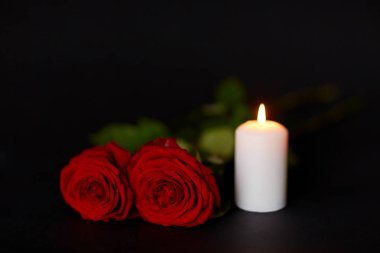 red roses and burning candle over black background clipart