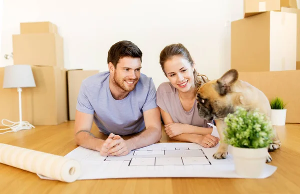 Kutuları, blueprint ve köpeğe yeni ev ile Çift — Stok fotoğraf