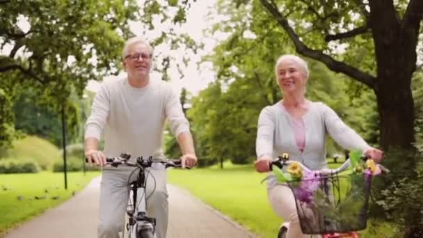 Feliz pareja mayor montando bicicletas en el parque de verano — Vídeos de Stock