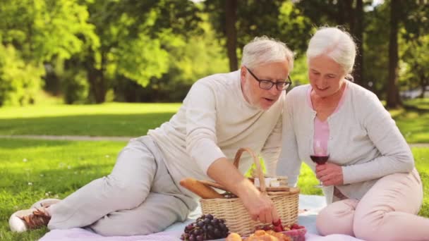 Feliz pareja de ancianos teniendo picnic en el parque de verano — Vídeo de stock