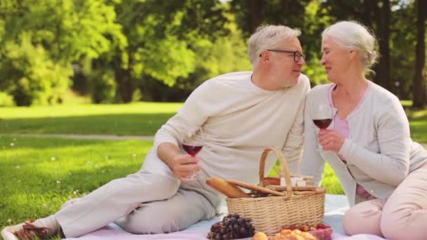 Feliz pareja de ancianos teniendo picnic en el parque de verano — Vídeos de Stock