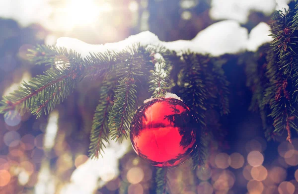 Червоний різдвяний м'яч на гілці ялинки зі снігом — стокове фото