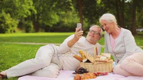 Couple de personnes âgées prenant selfie au pique-nique dans le parc — Video