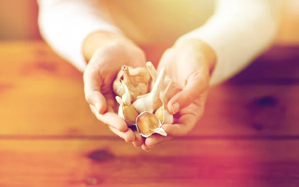 Close up of woman hands holding garlic — Stock Photo, Image