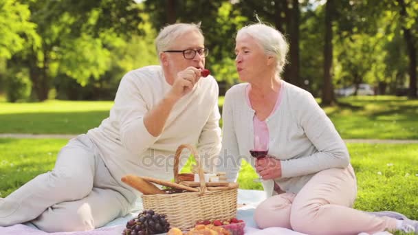 Glada äldre par som har picknick på sommarparken — Stockvideo