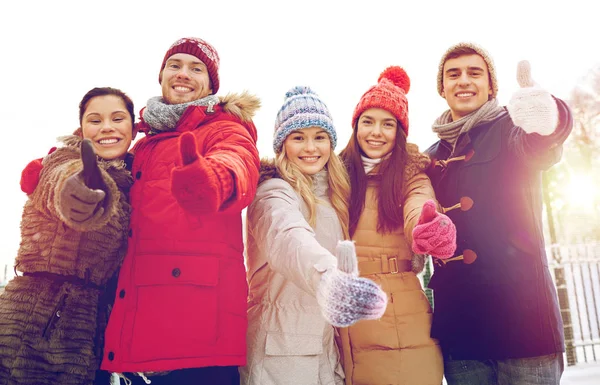 Group of smiling men and women in winter forest — Stock Photo, Image