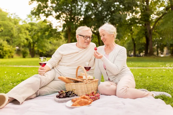 Felice coppia anziana avendo pic-nic al parco estivo — Foto Stock