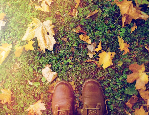 Piedi in stivali e foglie di autunno su erba — Foto Stock