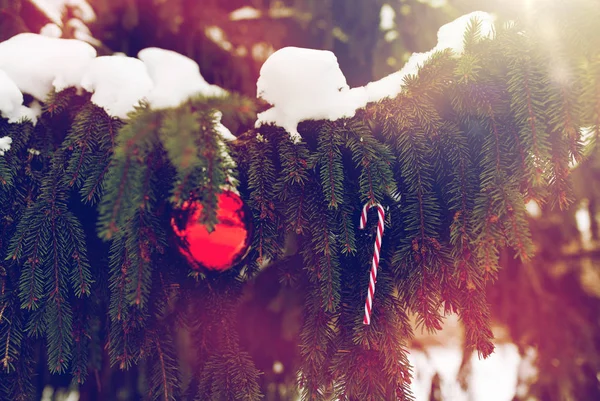 Candy cane och jul bollen på fir trädgren — Stockfoto