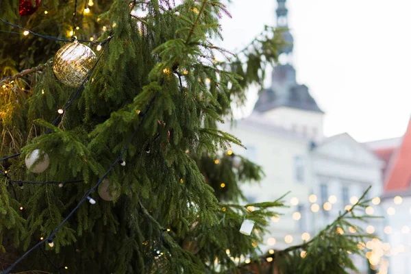 Zbliżenie na choinkę na stare miasto w Tallinnie — Zdjęcie stockowe