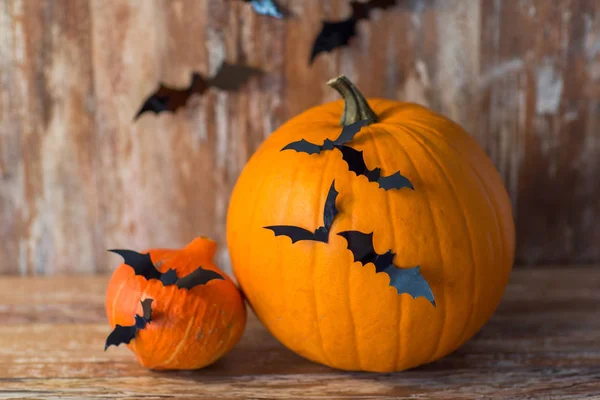Тыквы с летучими мышами или украшения на Хэллоуин — стоковое фото