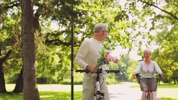 Feliz pareja mayor montando bicicletas en el parque de verano — Vídeo de stock