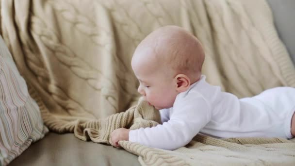 Precioso bebé niño en sofá en casa — Vídeos de Stock
