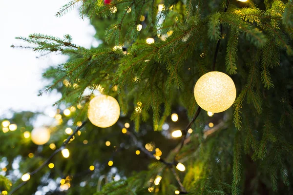 Primer plano de los bulbos de guirnalda de árbol de Navidad al aire libre —  Fotos de Stock