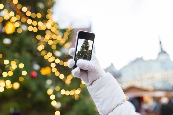 Mains avec smartphone photographiant arbre de Noël — Photo