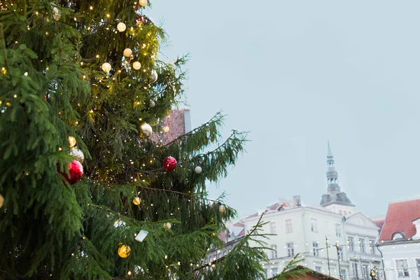 Zbliżenie na choinkę na stare miasto w Tallinnie — Zdjęcie stockowe