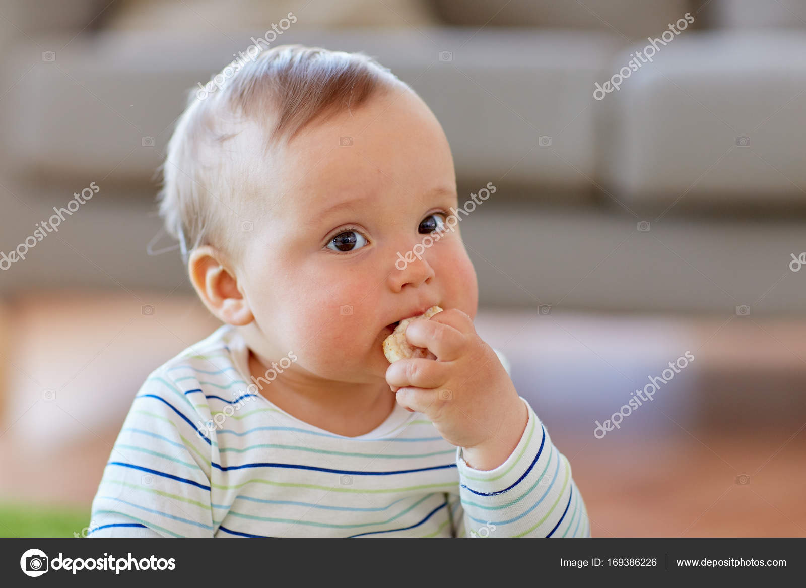 Baby boy eating rice cracker at home Stock Photo by ©Syda_Productions  169386226