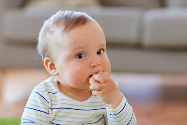 Baby boy eating rice cracker at home — Stock Photo, Image