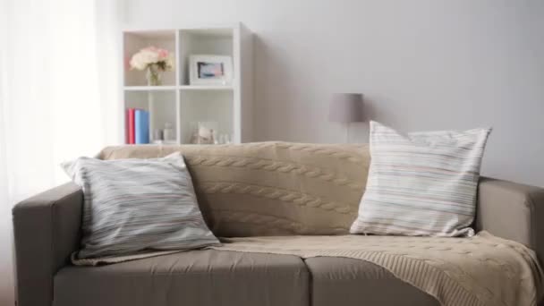 Close up of sofa with cushions at cozy home — Stock Video