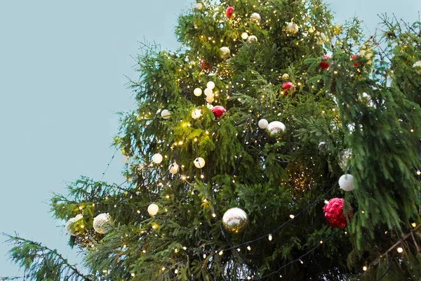 Nahaufnahme von Tanne mit Weihnachtsbaumspielzeug im Freien — Stockfoto