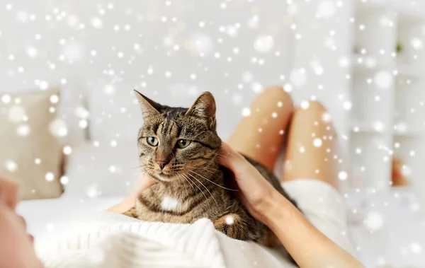 Jovem mulher com gato deitado na cama em casa — Fotografia de Stock