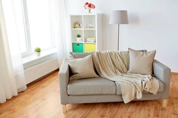 Диван з подушками в затишній домашній вітальні — стокове фото