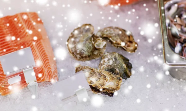 Salmon fish and oysters on ice at grocery stall — Stock Photo, Image