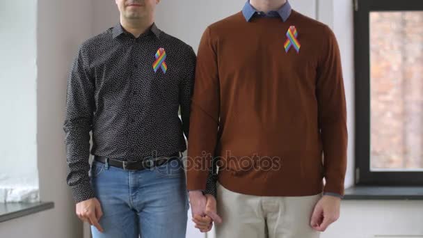 男性夫妇与同性恋骄傲意识丝带 — 图库视频影像