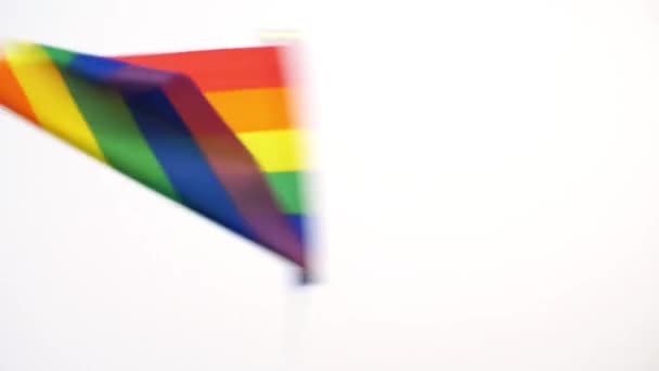 Gay or lgbt pride rainbow colored flag waving — Stock Video