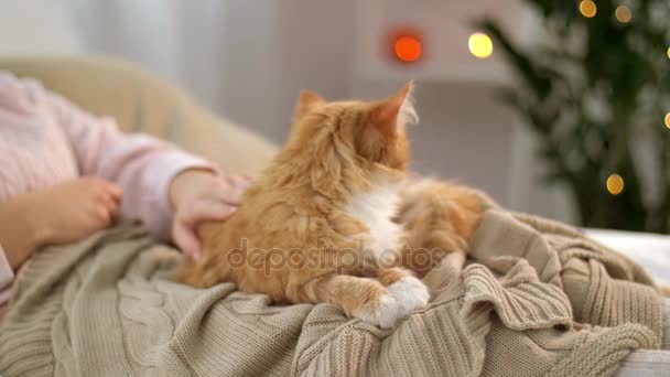 Mujer acariciando rojo tabby gato en cama en casa — Vídeo de stock