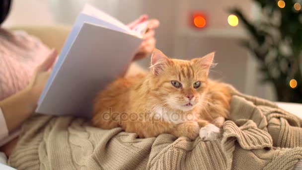 Red tabby cat and woman reading book at home — Stock Video