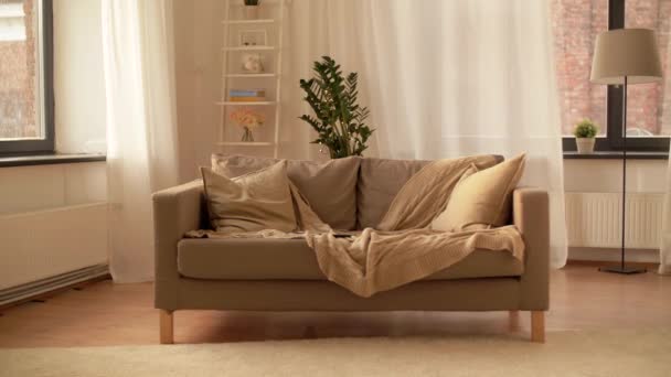 居心地の良い家庭のリビングルームでクッション付きのソファ — ストック動画