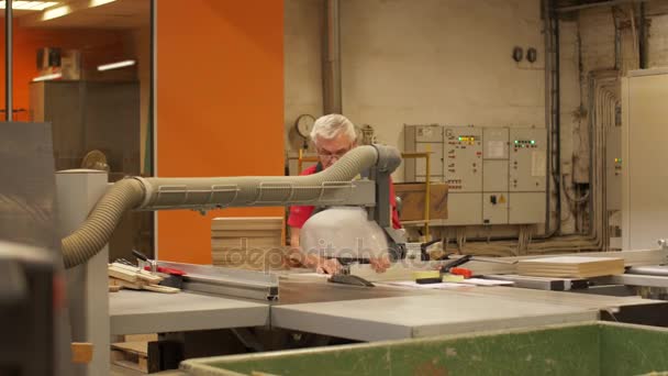 Carpinteiro com serra de painel e placa de fibra na fábrica — Vídeo de Stock