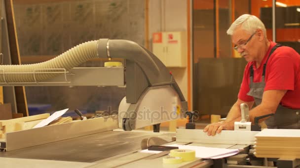 Snickare med panelen såg och träfiberskivor på fabriken — Stockvideo