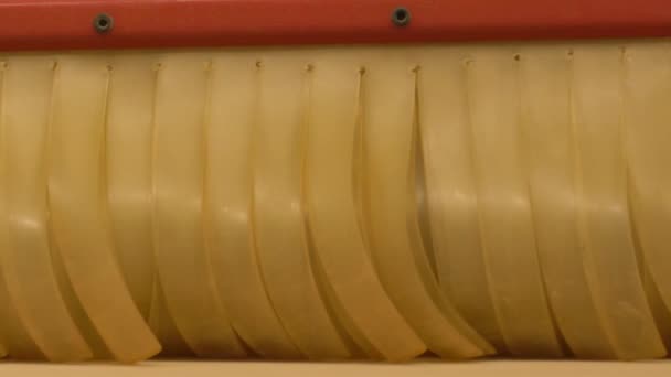Cepillo de tira en la máquina de carpintería industrial — Vídeo de stock