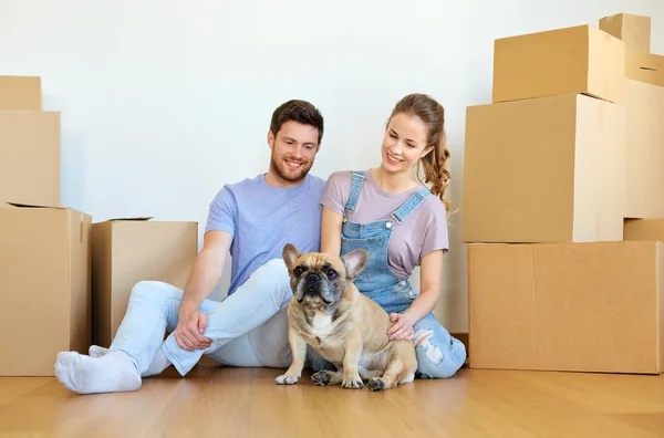 Happy couple with boxes and dog moving to new home — Stock Photo, Image