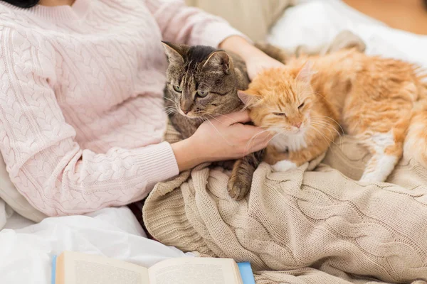 在床上的红猫和花猫的主人关闭 — 图库照片