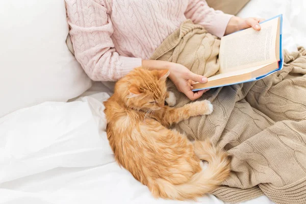 红猫和女主人在家看书 — 图库照片