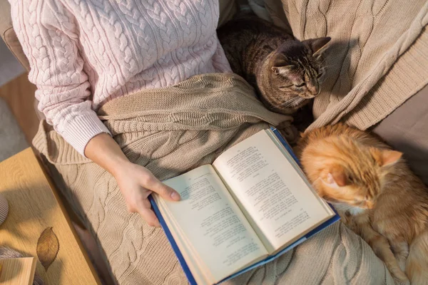 Libro di lettura rosso e tabby e proprietario a casa — Foto Stock