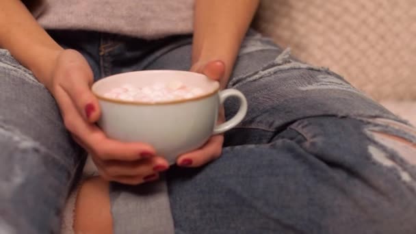 Žena držící šálek kakaa s marshmallow — Stock video